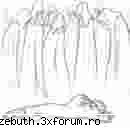 teama? atat multi shi rai...da, sunt rai, cei mai rai; abia asteapta zaci fata lor zdrobit iar rada,