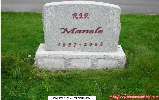 anti manele cel mai penibil gen muzica, fapt scuzati, este gen muzica este nimic antimanele forever