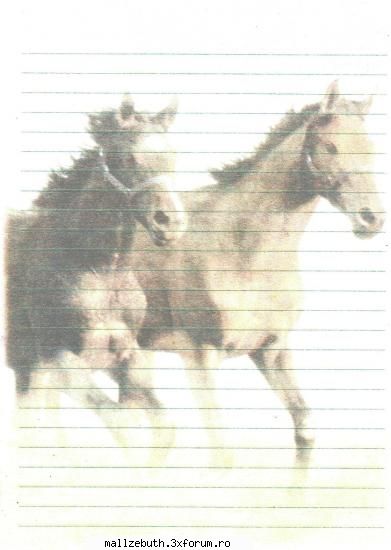 who the true creator? kitty este undeva mijloc