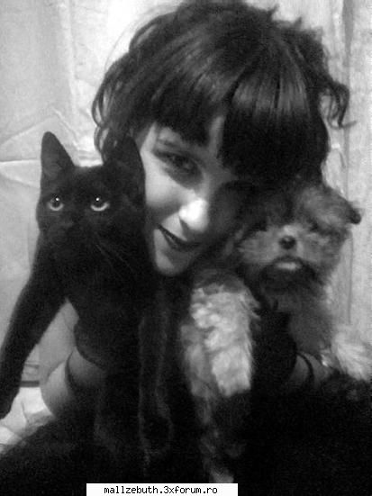 animalele oamenii animalele sunt omorate din multe sau pur simplu animalutze leas putea rani nici