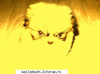 Poze - ok... nu m-am putut abtine - Arte