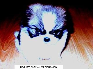 inca o editare poze