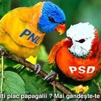 Poze - Si ceva mai... realist - Arte