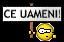 :rolleyes: rank creshtin xd pe site-ul asta?.. propun un rank nou xd